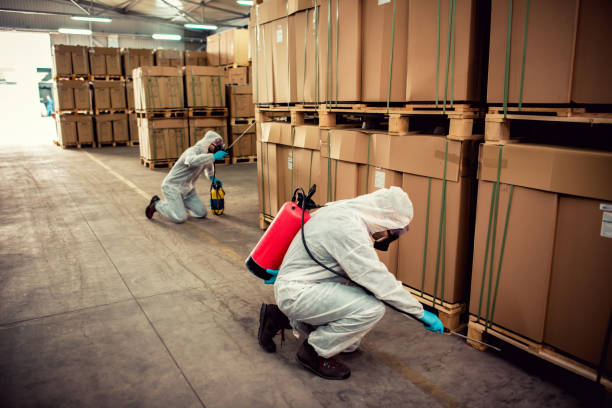 Best Residential Pest Control  in Huntington Park, CA