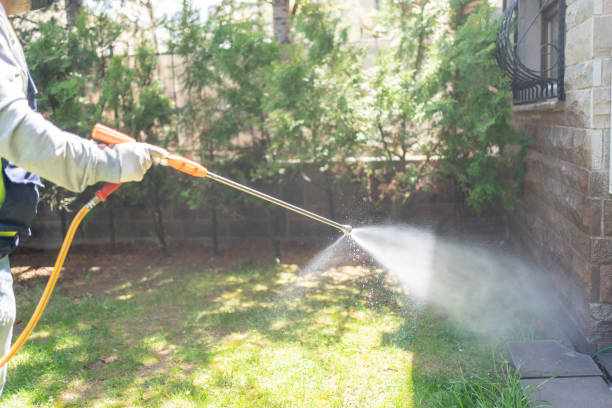 Reliable Huntington Park, CA Pest Control Solutions