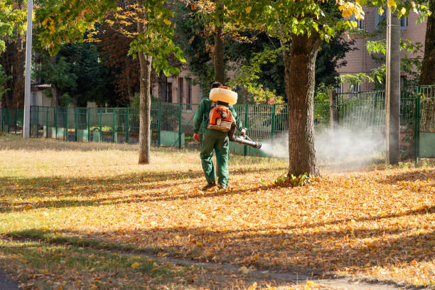 Huntington Park, CA Pest Control Company